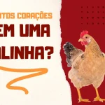 Quantos Corações Tem uma Galinha