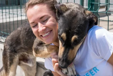 Como a adoção de um pet pode mudar sua vida