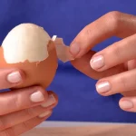 ovos