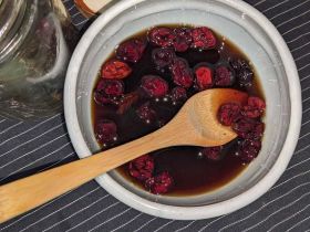 Fermentado de Cranberry