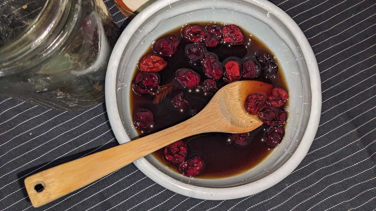 Fermentado de Cranberry